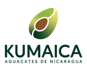 Kumaica