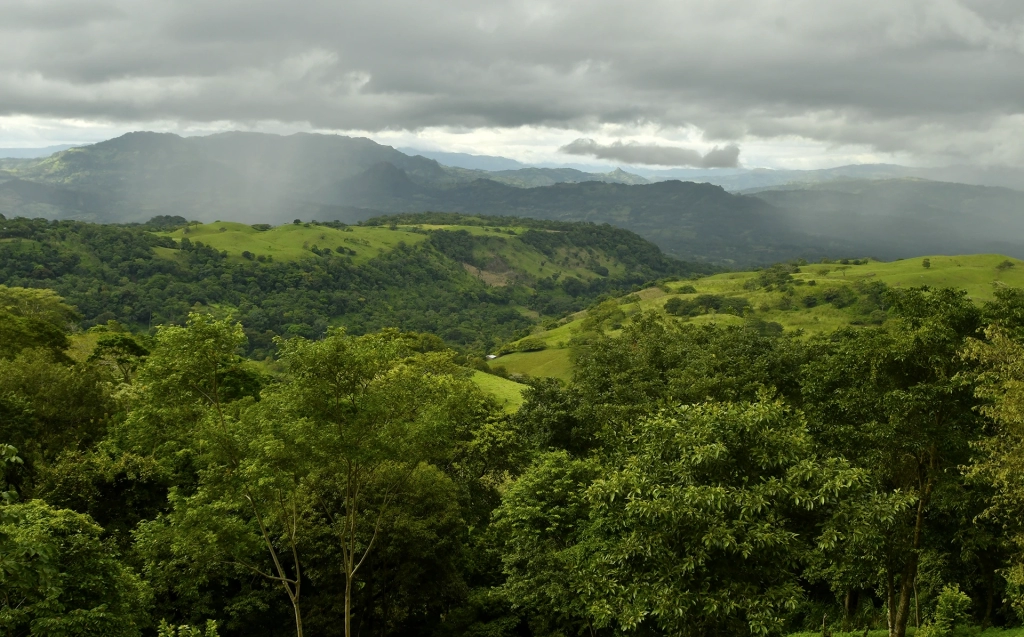 Nicaragua Lugar Ideal de Cultivo de Aguacate